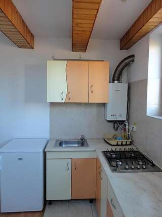 Гостевой дом Bonsejour Брашов Апартаменты с 1 спальней-1